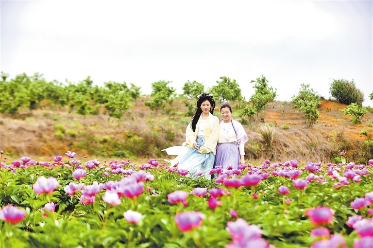 九江：乡村旅游促振兴（图）