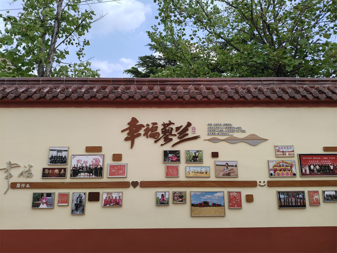 青岛市人大代表陈锡佐：用“小鸡蛋”串起乡村振兴大链条