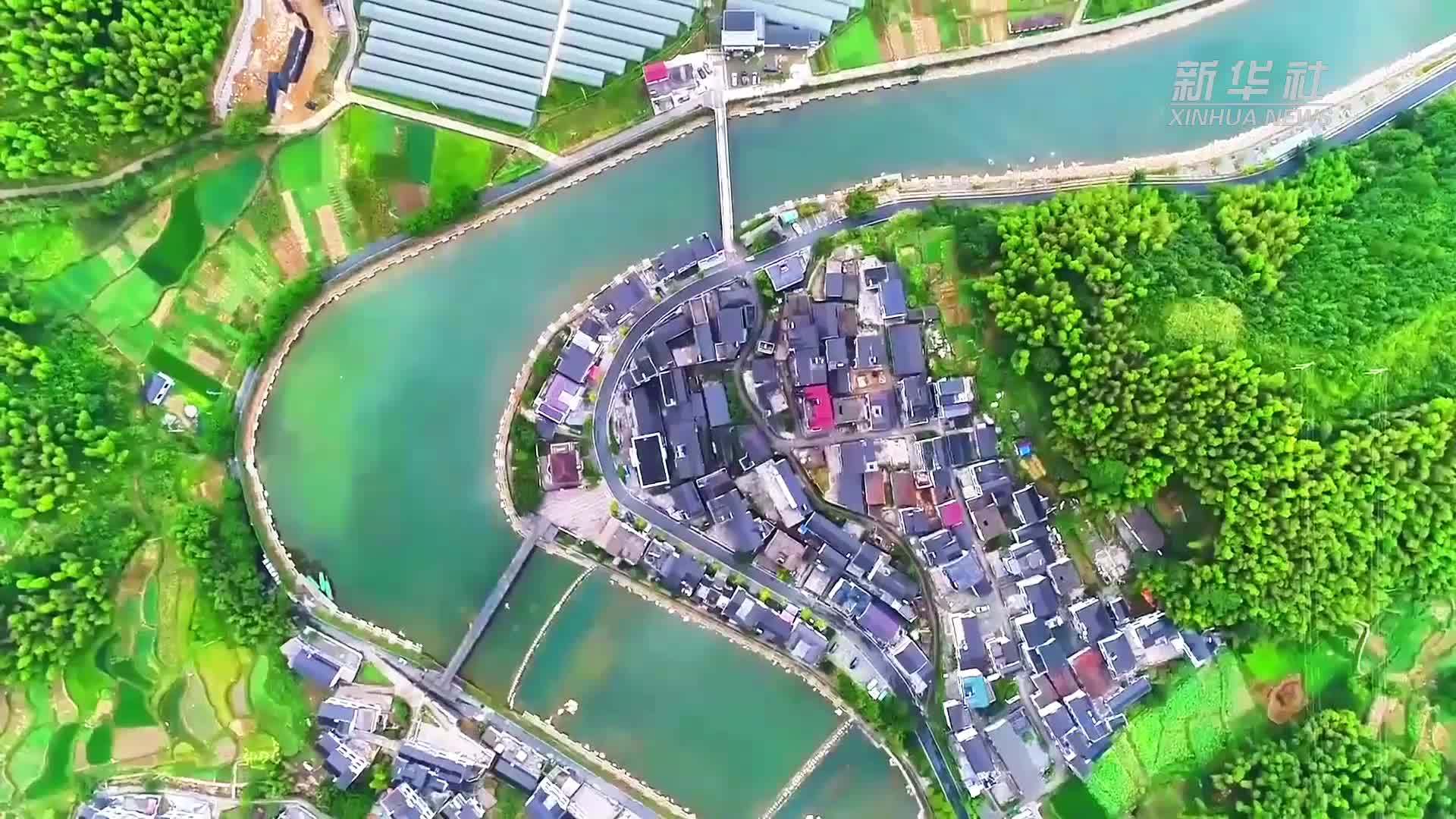 经济大省调研行丨“浙”里乡村共富行