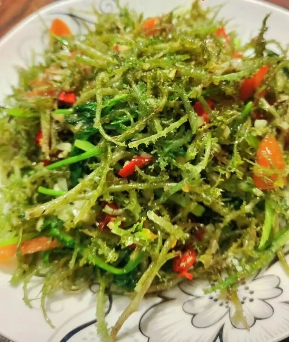 鹿角菜（图源：天祝文旅）