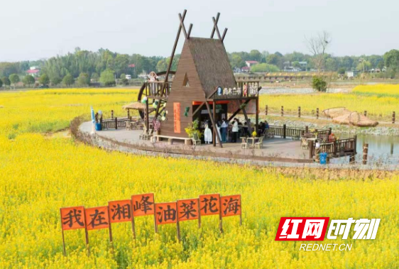长龙街道同汇长龙生态欢乐园油菜花海。