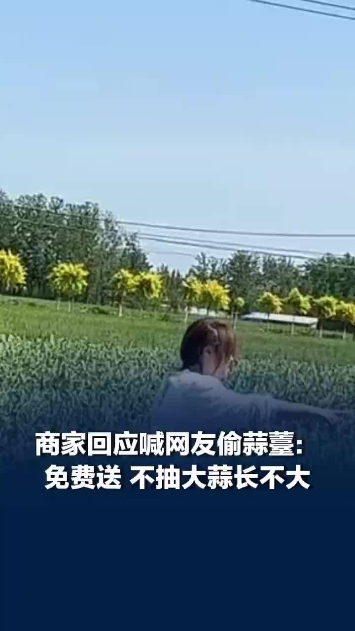 “求求嫩了，赶紧来偷俺家蒜薹吧”，河南多家农户喊话免费偷蒜薹