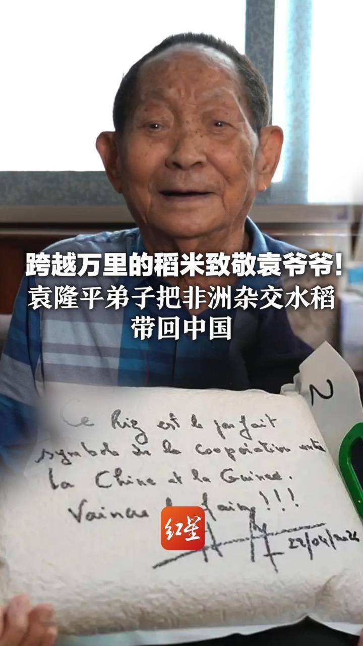 跨越万里的稻米致敬袁爷爷！袁隆平弟子把非洲杂交水稻带回中国 几内亚总理亲笔寄语：战胜饥饿