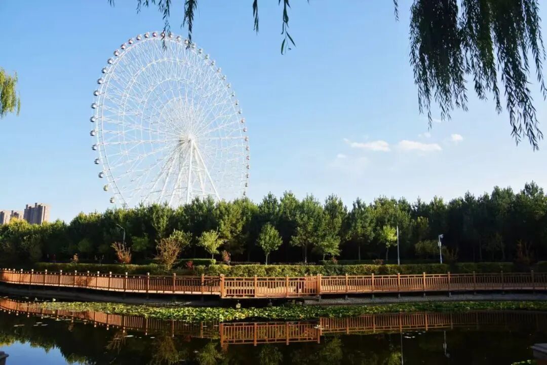 摄影：雯靖