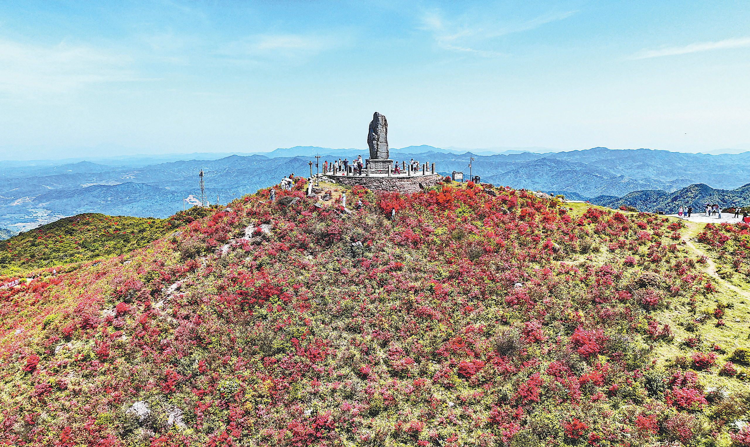 抚州广昌：牙梳山杜鹃花开，美不胜收（图）