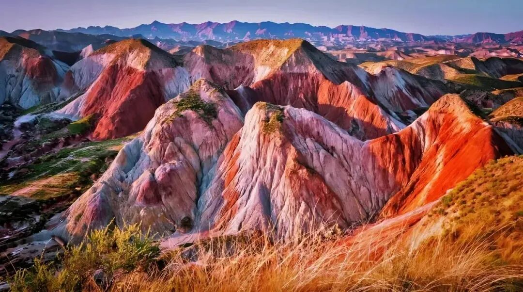 五一+兰马双重Buff加持　兰州超400道文旅大餐期待住了