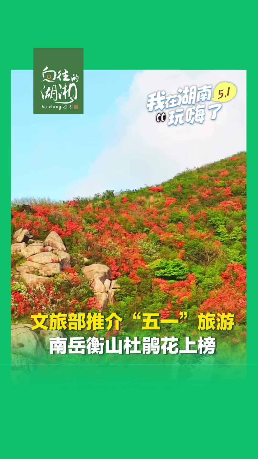 文旅部推介“五一”旅游，南岳衡山入选杜鹃花核心推荐地，成为假期出游的优选目的地