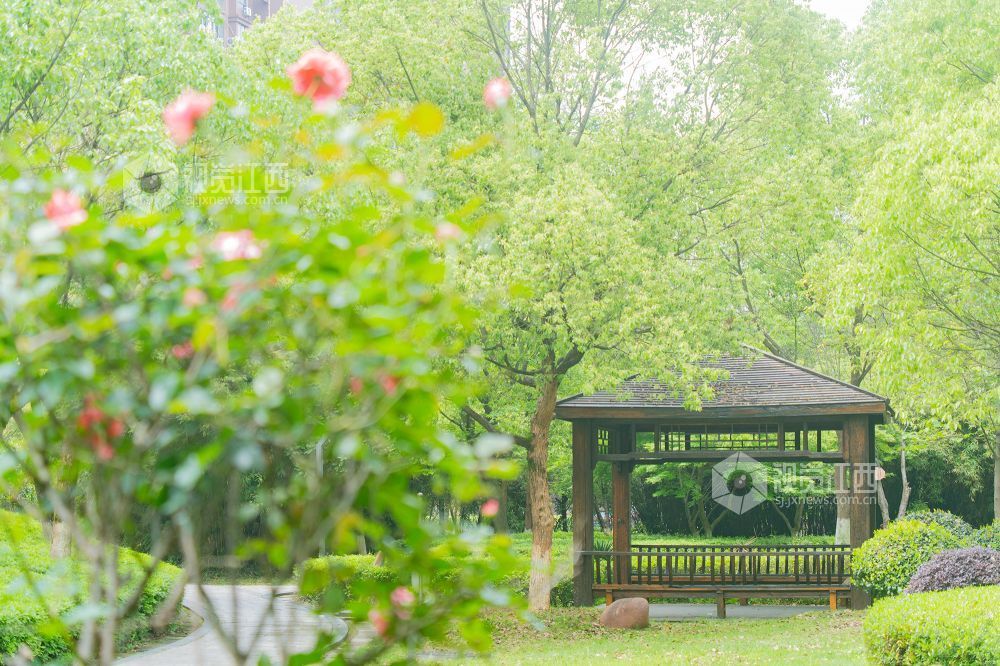 江西金溪:人间芳菲四月天(图)