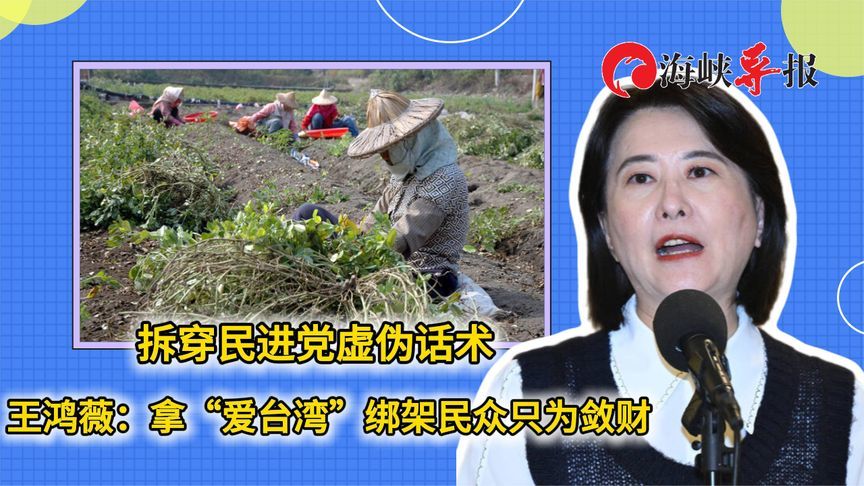 拆穿民进党虚伪话术，王鸿薇：拿“爱台湾”绑架民众只为敛财