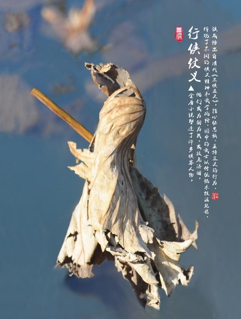 枯荷作品《行侠仗义》
