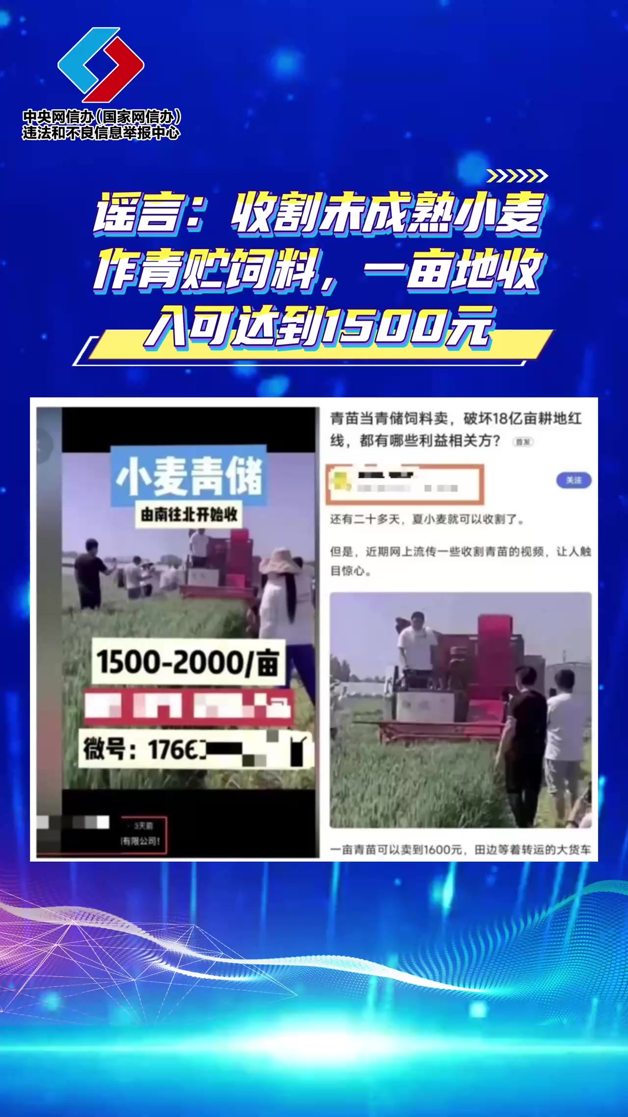 别信：点链接领“2026年度综合补贴”、70岁以上老人就医新规落地、割青麦作饲料……已辟谣！