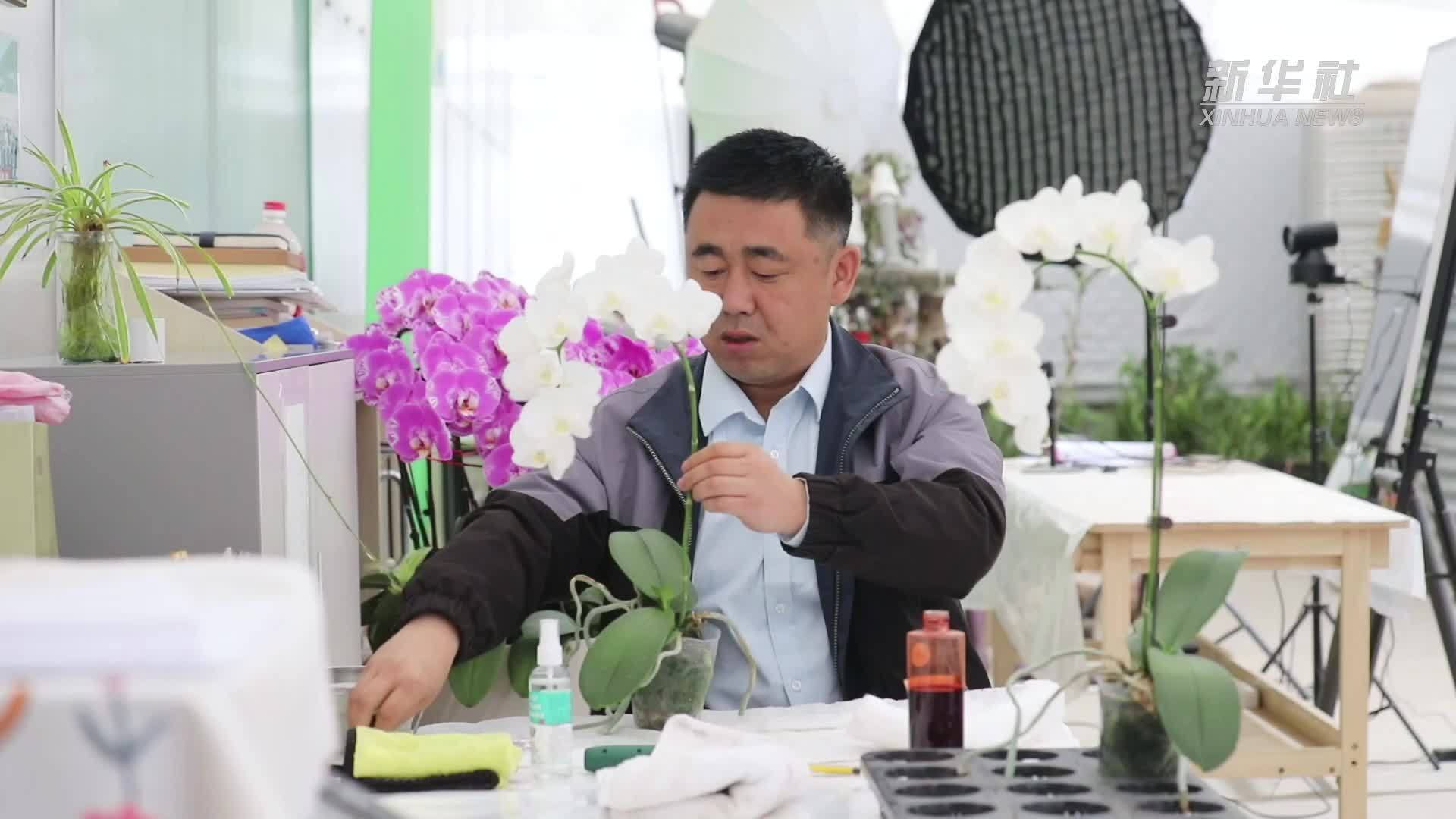 “花田魔术师”张希权：科技赋能“花样”兴农