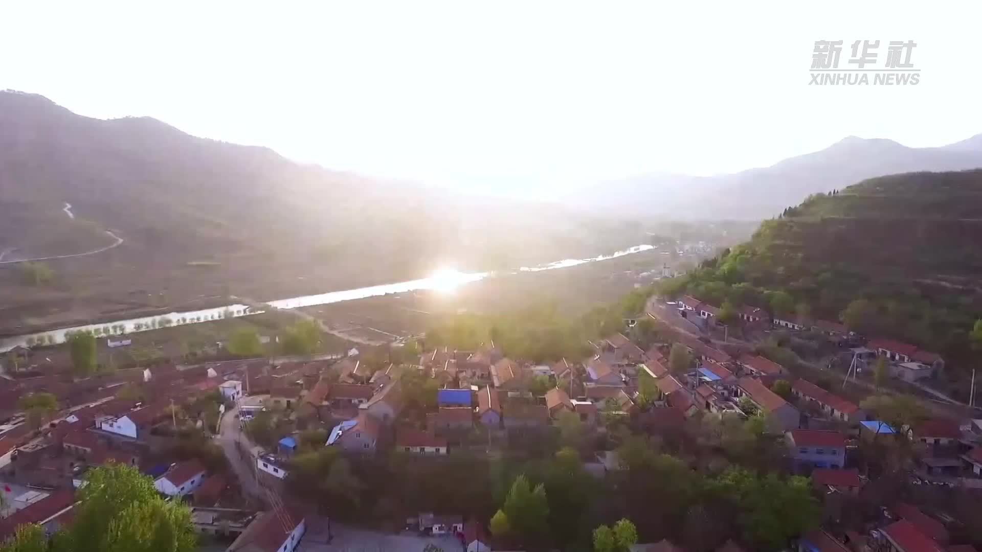 “90后”黄元孔：把青春种在山野，用行动助力振兴