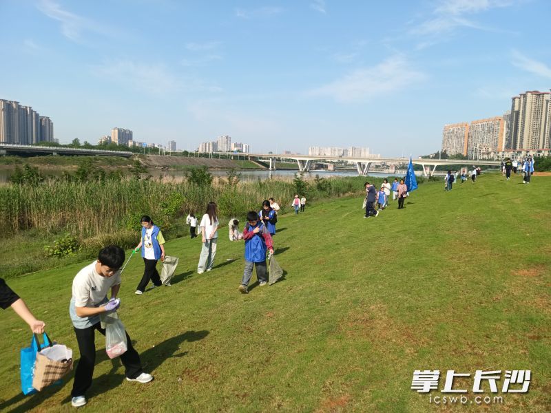 志愿者们化身环保卫士，守护碧水清流。 通讯员供图
