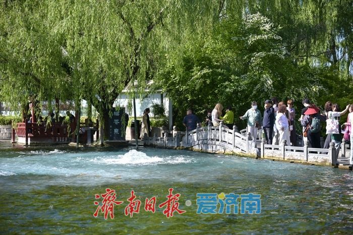 一年四季 泉在济南丨五泉齐涌如梅绽,清照故里韵悠长