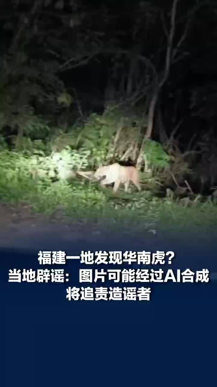 当地辟谣福建一地发现华南虎