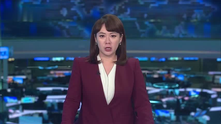 越南分别与印度斯里兰卡升级双边关系