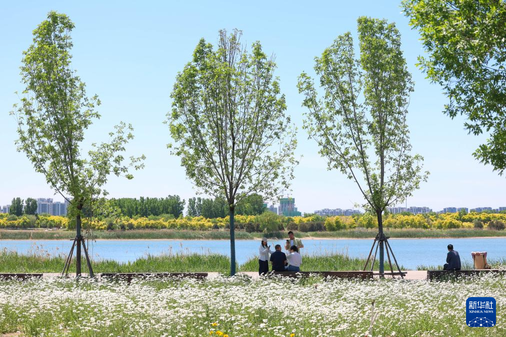 5月7日，人们在石家庄市境内的滹沱河畔休闲游玩。
