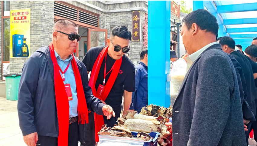 2026挥公文化旅游节在濮阳举办 海内外宗亲共襄文化经贸盛会