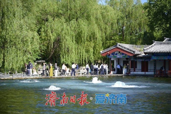 一年四季 泉在济南丨五泉齐涌如梅绽,清照故里韵悠长