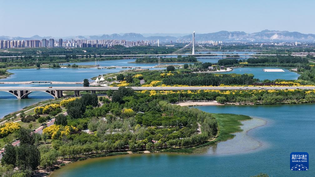 这是5月7日拍摄的石家庄市滹沱河生态区（城区段）初夏美景（无人机照片）