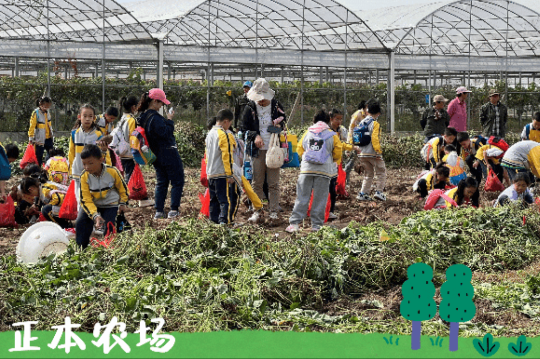 徐州农场，正在“卷”出新花样