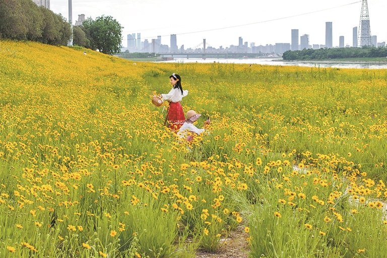 南昌：徜徉花海（图）