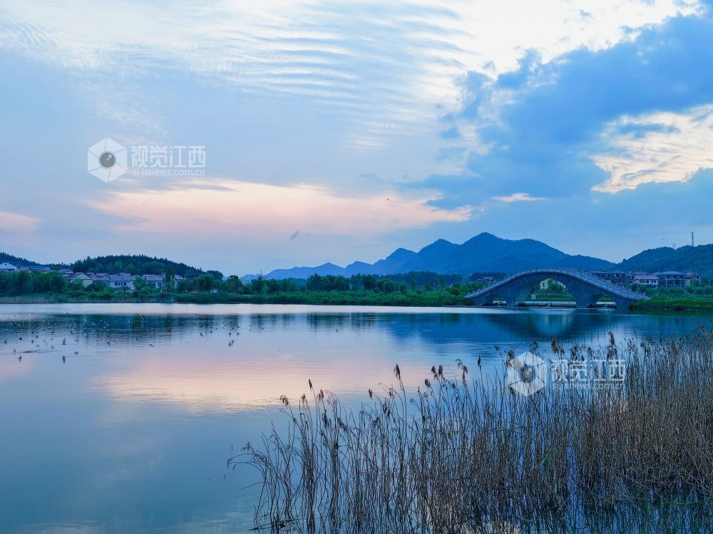 江西分宜：生态湿地日落成景（图）