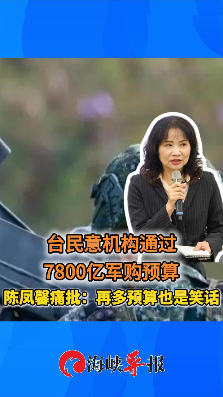 台民意机构通过7800亿军购预算 陈凤馨痛批：再多预算也是笑话