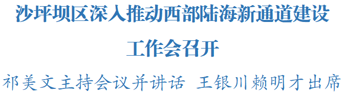 沙坪坝区委书记祁美文：加快建设内陆开放综合枢纽的主枢纽，高水平推动西部陆海新通道建设取得新成效