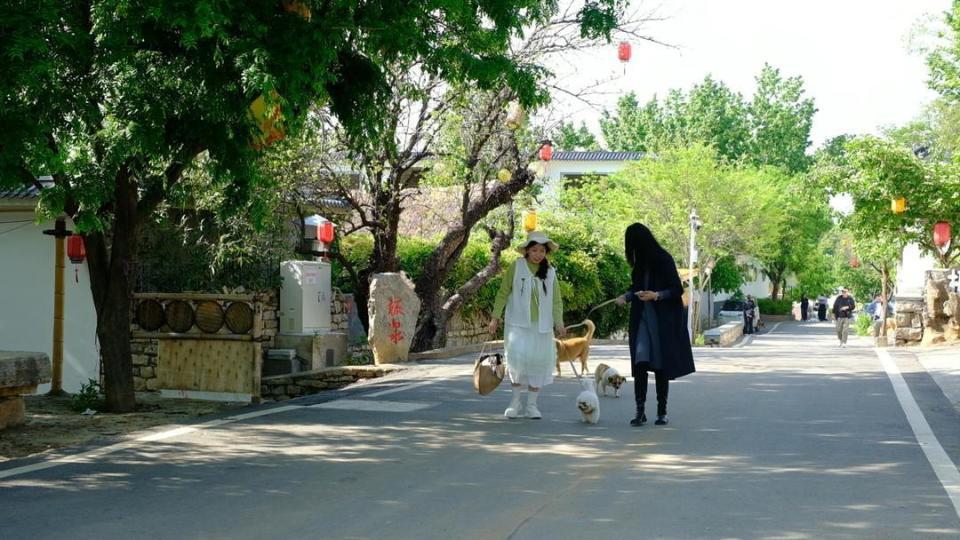图片来自大众日报