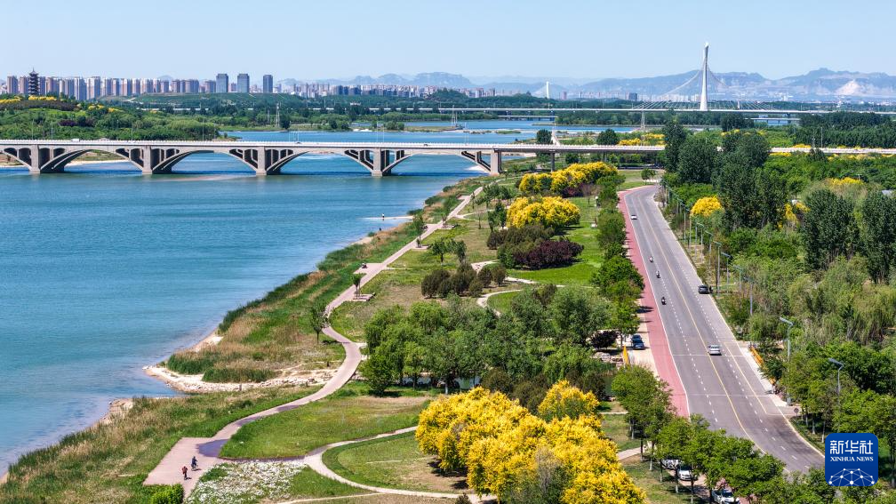 这是5月7日拍摄的石家庄市滹沱河生态区（城区段）初夏美景（无人机照片）。