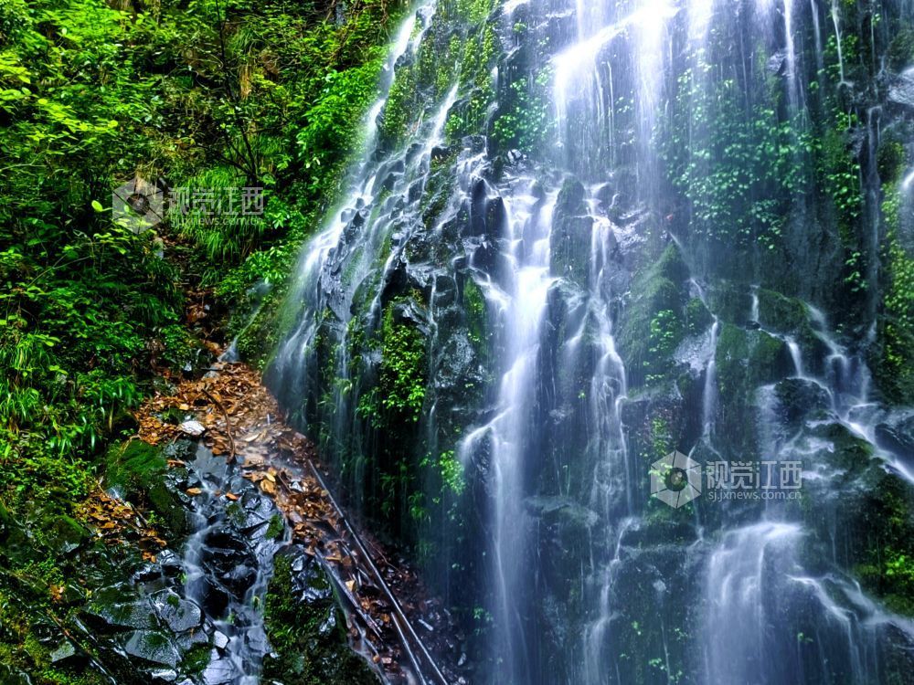 江西分宜：山涧瀑布唱欢歌 青山幽谷漾清音（图）