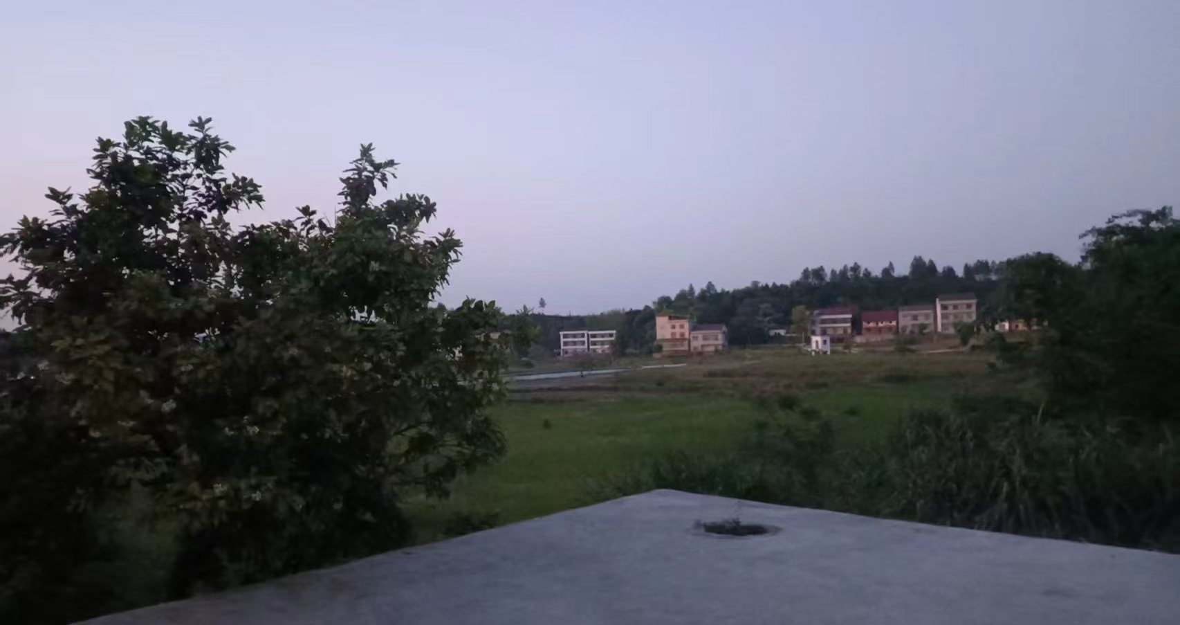 曹政伟：星夜的灯光