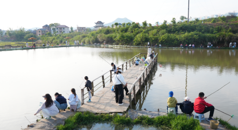 蛟塘丛桂茶香庄园里，游客在参与钓小龙虾活动