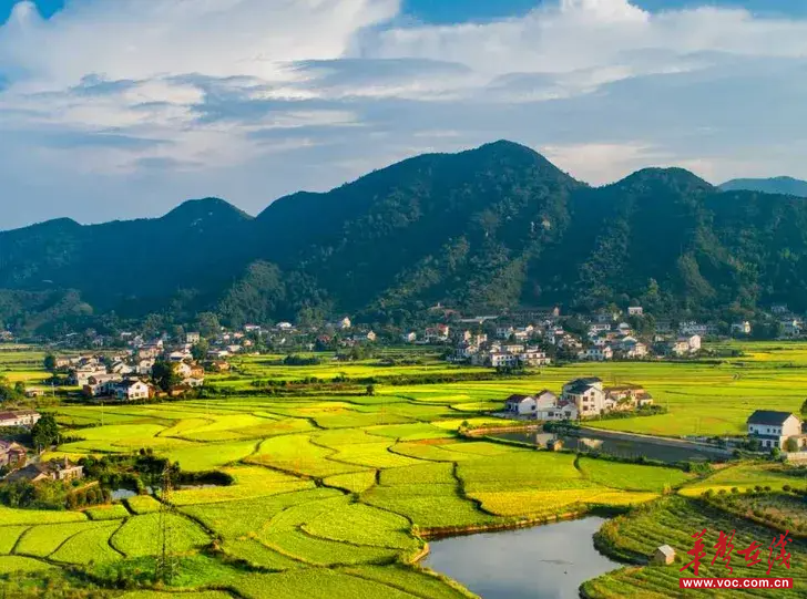 银田村。