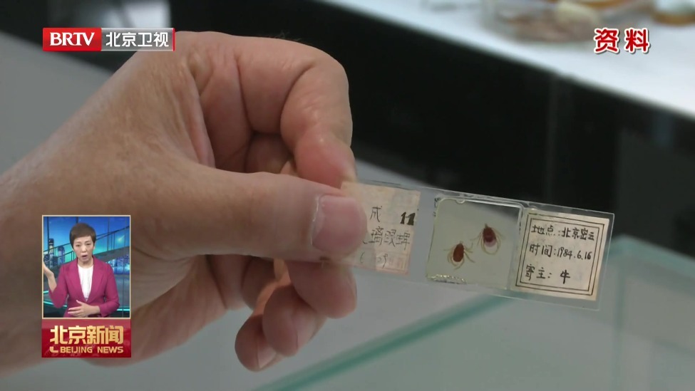 北京疾控提醒：踏青游玩做好防护 防止蜱虫叮咬