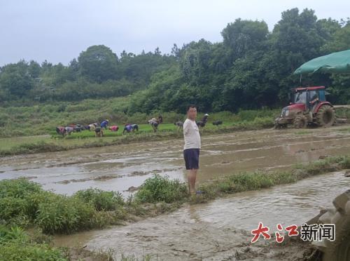周绍芙（受访者供图）