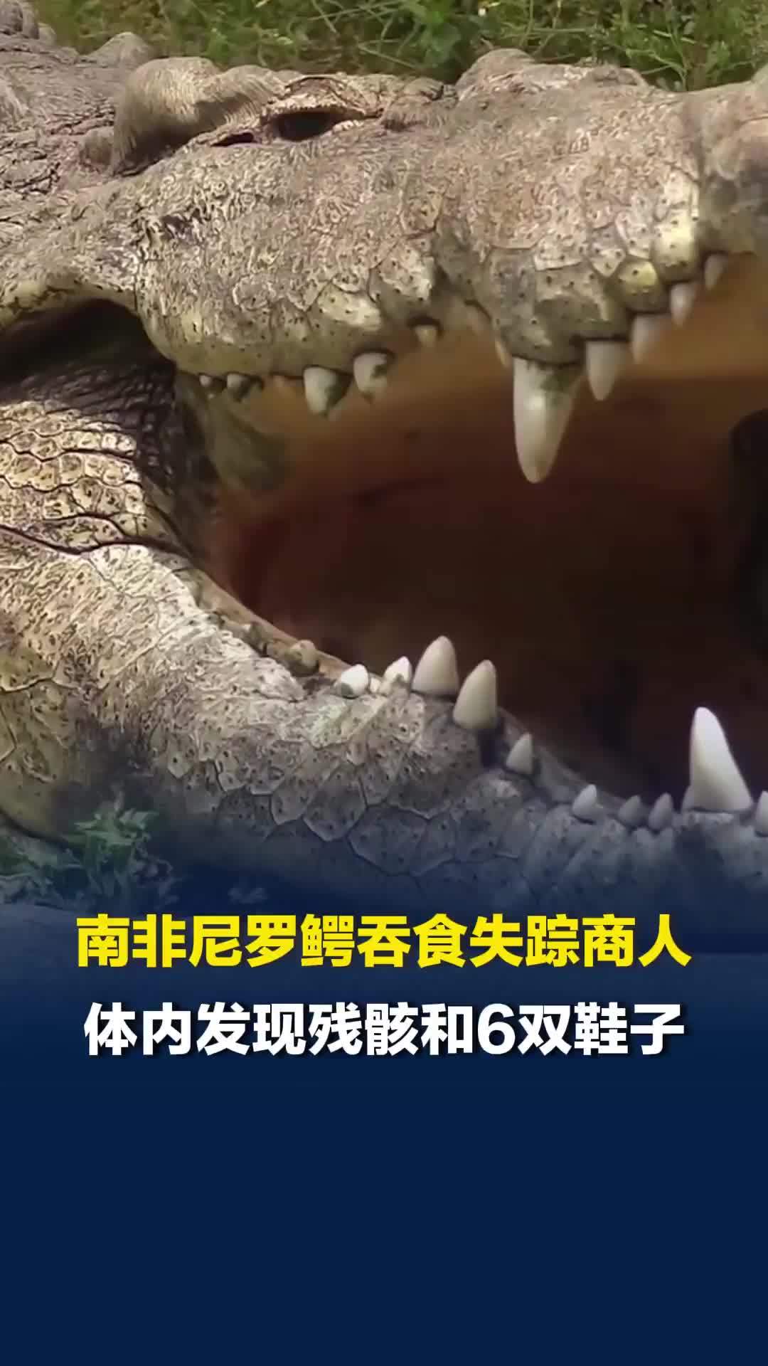 南非尼罗鳄吞食失踪商人，体内发现人体残骸和6双鞋子