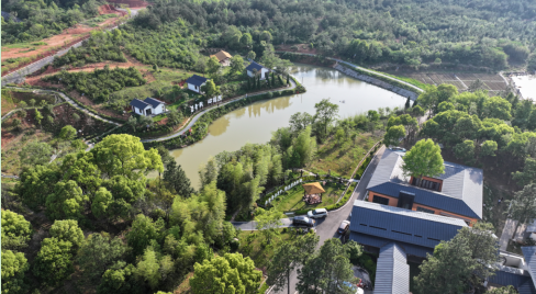 蛟塘丛桂茶香庄园