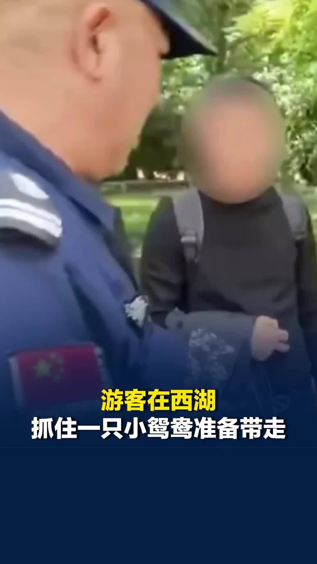 游客在西湖抓住一只小鸳鸯准备带走，幸被爱心人士发现拦截并报警