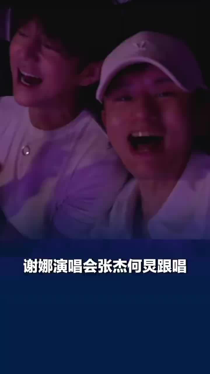 谢娜演唱会张杰何炅跟唱