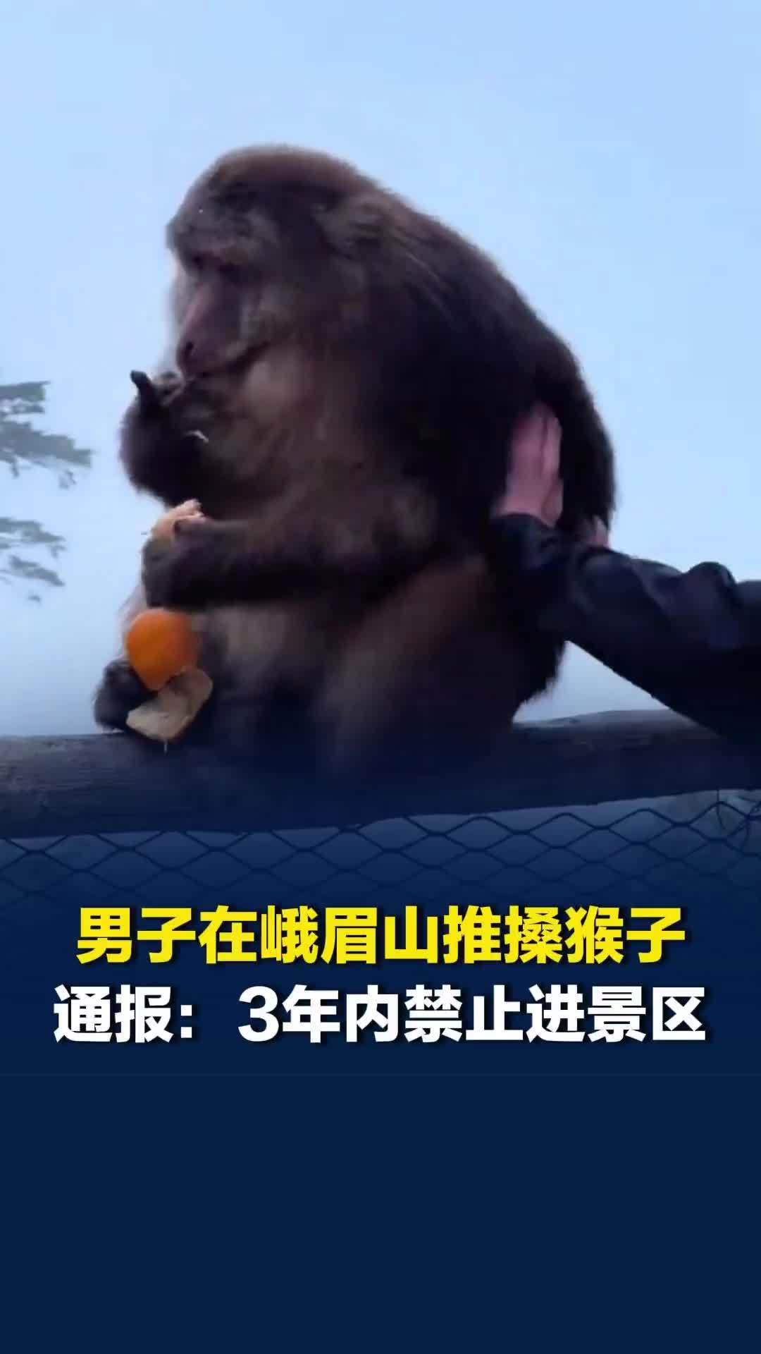 男子在峨眉山推搡猴子，官方通报：被列入“不文明游客黑名单”，3年内禁止进入该景区