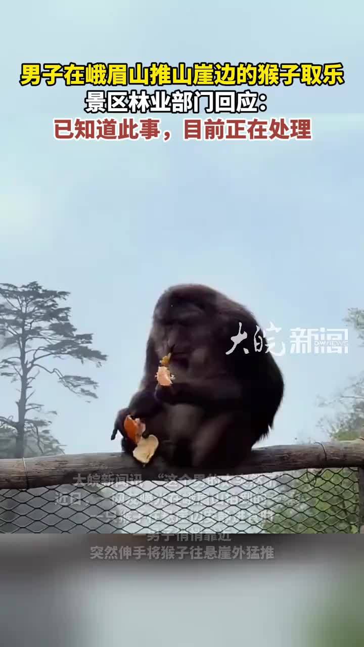 男子在峨眉山推山崖边的猴子取乐 景区林业部门回应：已知道此事，目前正在处理