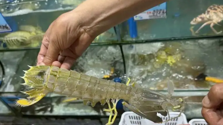 4只虾1035元风波，店主离世、游客拒赔，三亚这事最该批判的是网暴