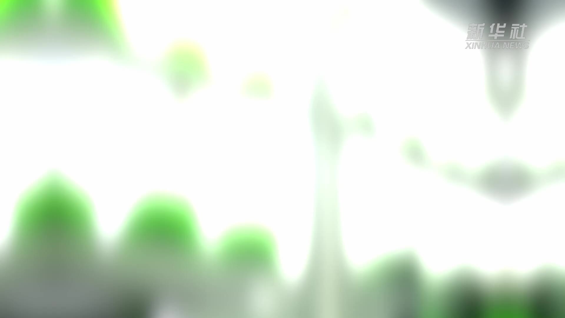 “绿领”新青年：喂养绿意的“固碳魔法师”