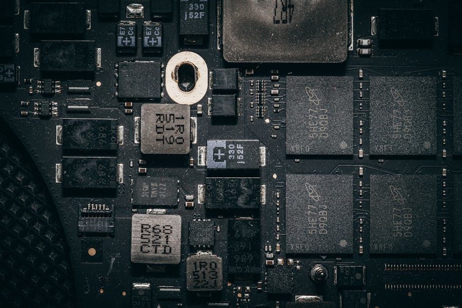 图源：Pexels