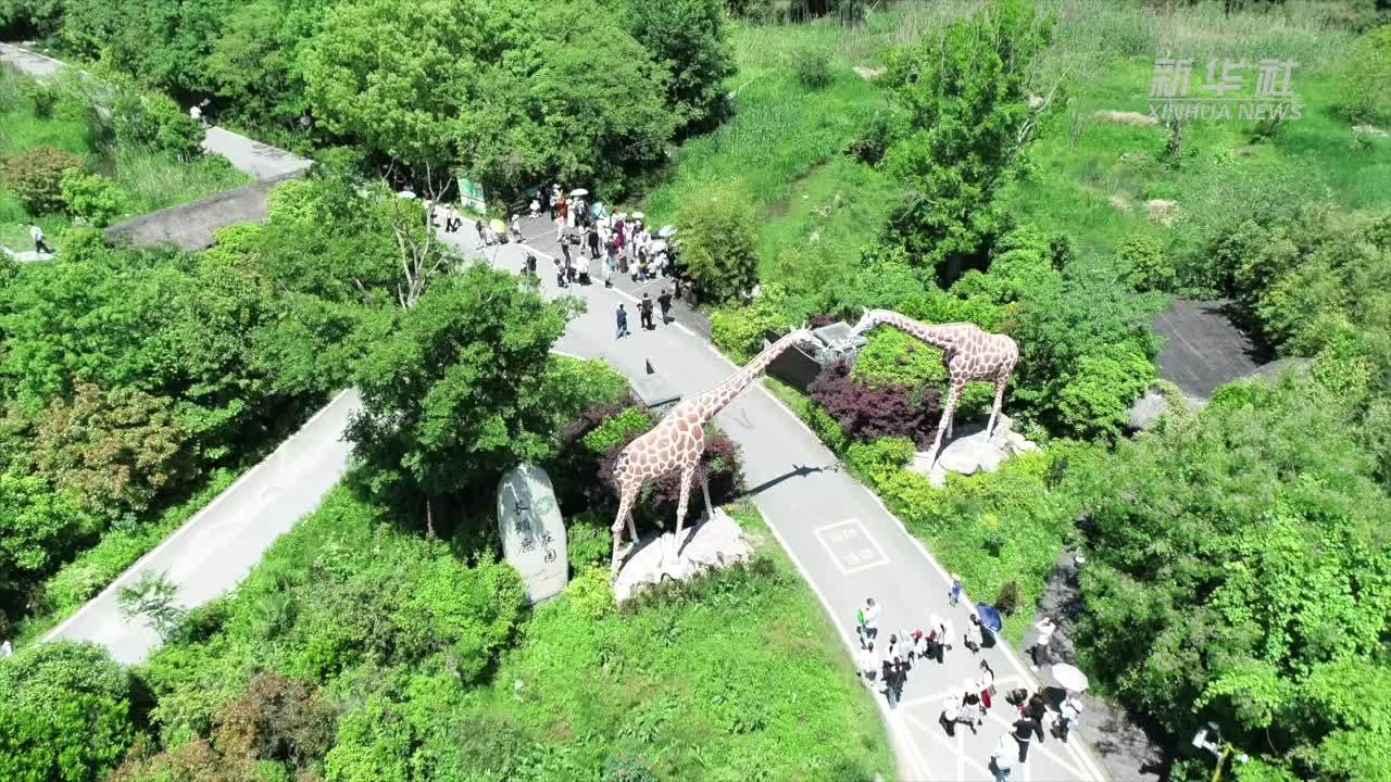 浙江湖州：假日文旅市场活跃 赛事带动消费增长