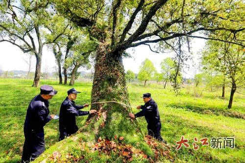 分宜县公安局：以“警察蓝”守护“生态绿”