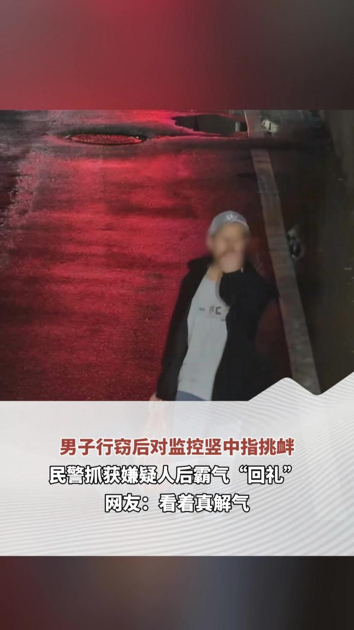 男子行窃后对监控竖中指挑衅 民警抓获嫌疑人后霸气“回礼”网友：看着真解气